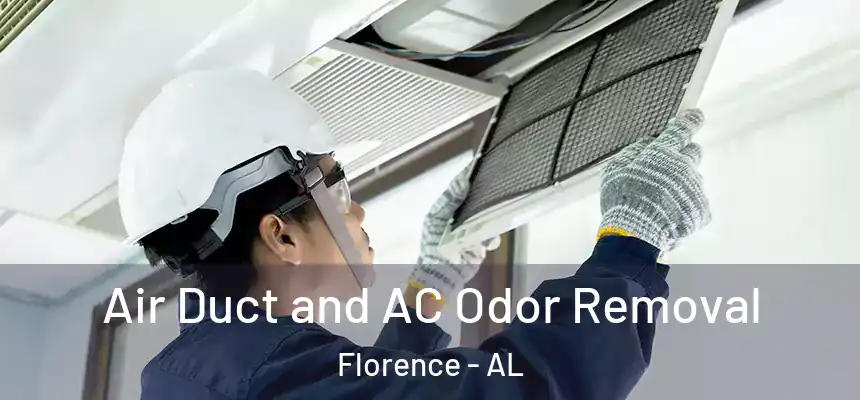 Air Duct and AC Odor Removal Florence - AL