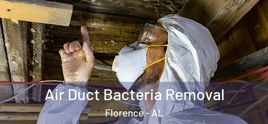 Air Duct Bacteria Removal Florence - AL