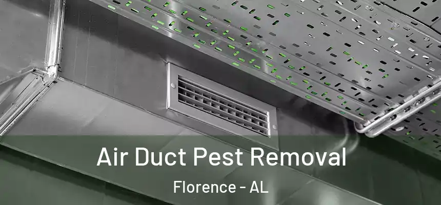 Air Duct Pest Removal Florence - AL