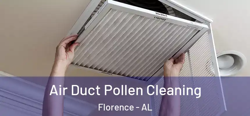 Air Duct Pollen Cleaning Florence - AL