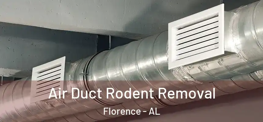 Air Duct Rodent Removal Florence - AL