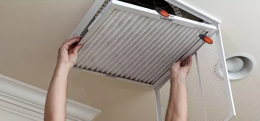 Our Insect Removal from Air Ducts Services in Florence, AL