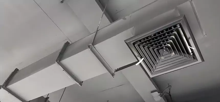 Our Rodent Droppings In Vents Services in Florence, AL