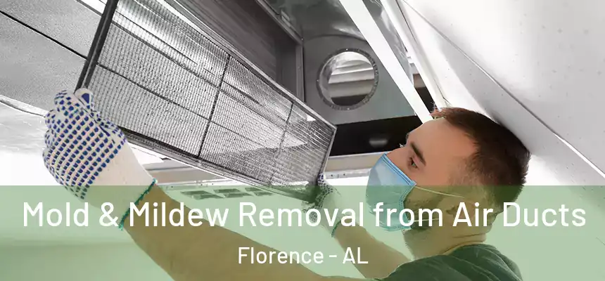 Mold & Mildew Removal from Air Ducts Florence - AL