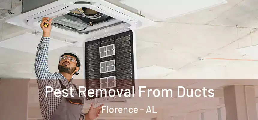  Pest Removal From Ducts Florence - AL