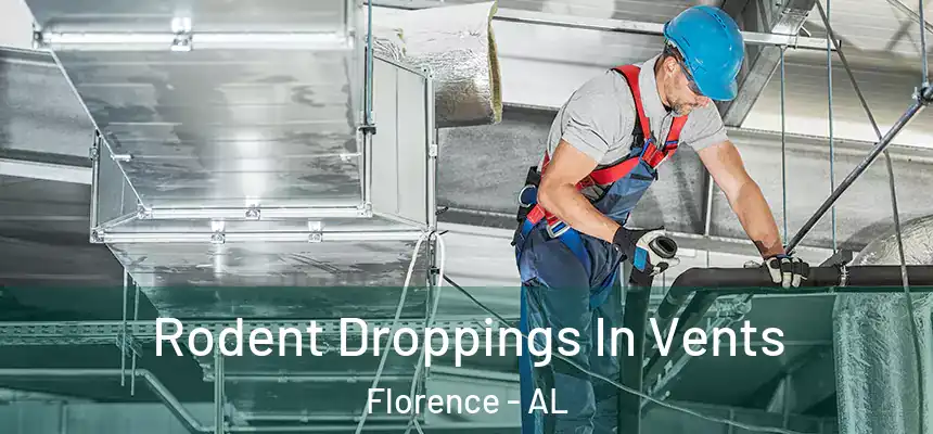 Rodent Droppings In Vents Florence - AL