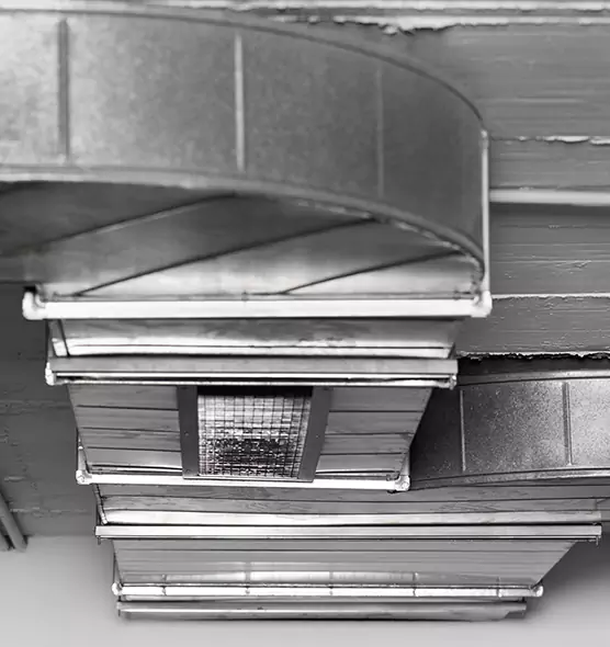 Professional Air Duct Pest Removal in Florence, AL