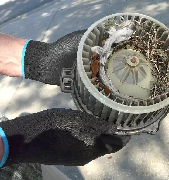 About Air Duct Rat Removal in Florence, AL