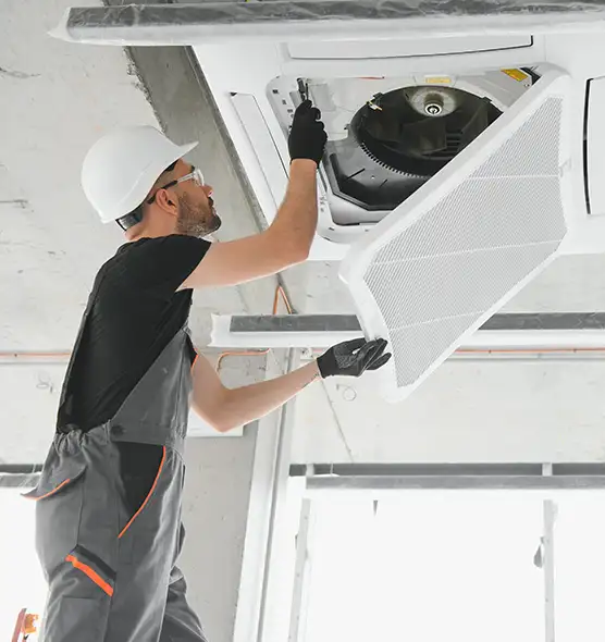 About Air Duct Rodent Removal in Florence, AL