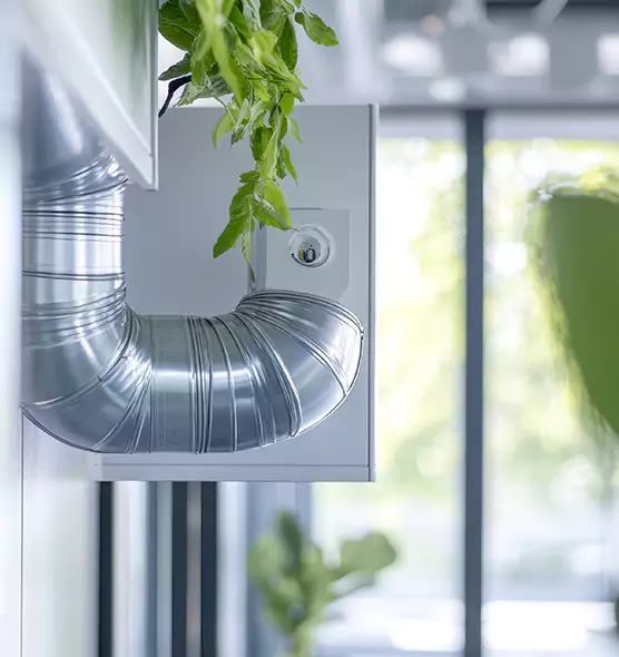 Professional Eco-Safe Dryer Vent Cleaning in Florence, AL