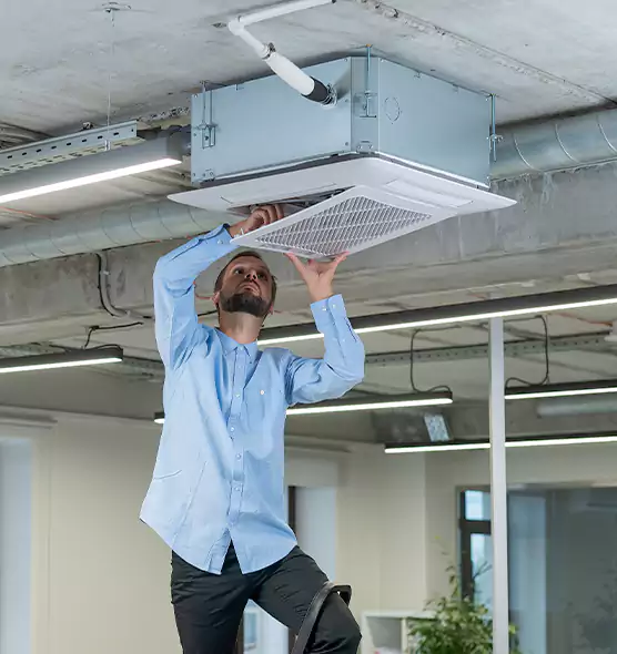Advanced Rodent Droppings In Vents in Florence, AL