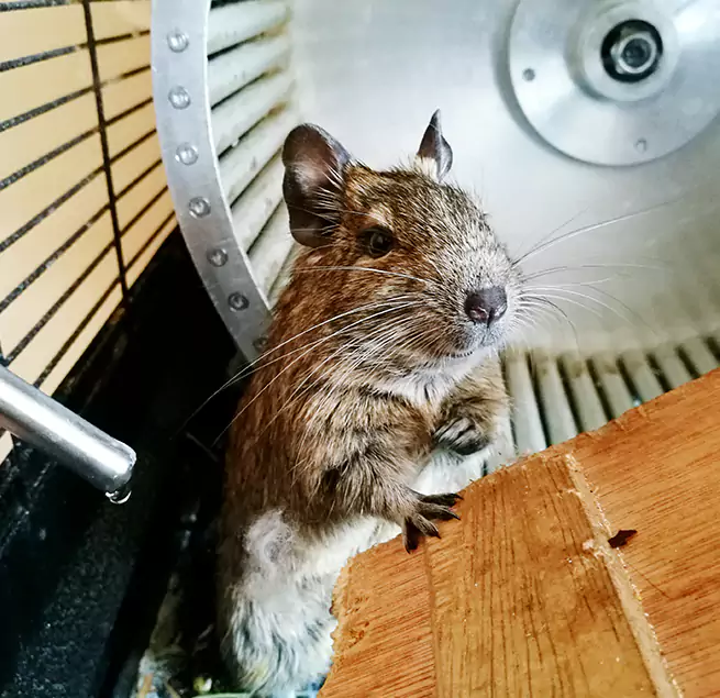 Why Homeowners & Businesses Trust Us Florence, AL?