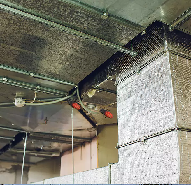 Why Homeowners & Businesses Trust Us Florence, AL?