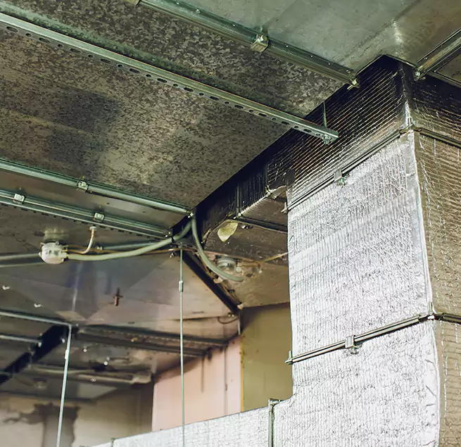 Why Homeowners & Businesses Trust Us in Florence, AL?