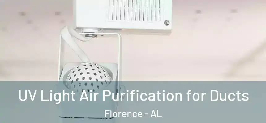 UV Light Air Purification for Ducts Florence - AL